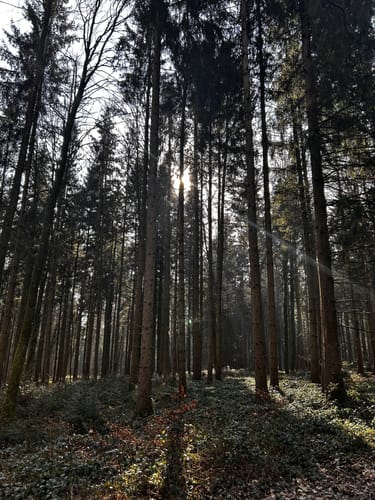 Schwarzer-Reiter-Rundwanderweg