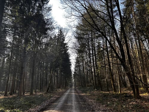 Schwarzer-Reiter-Rundwanderweg