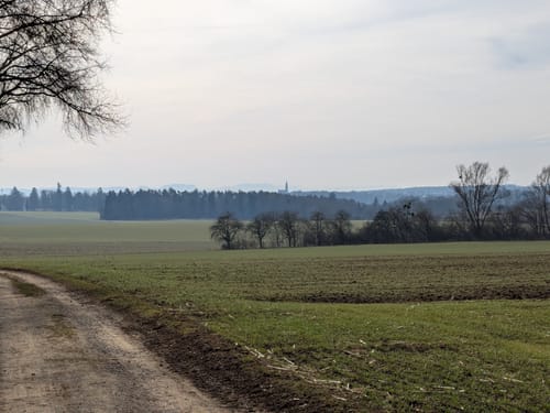 Durch das Neckartal zum Schloss Weitenburg