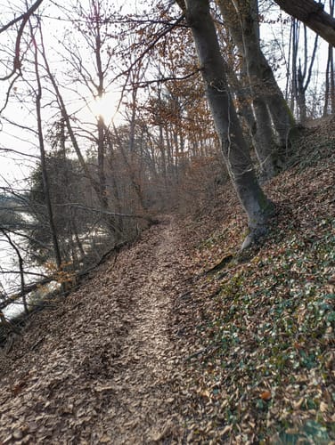 Von Fürstenfeldbruck entlang der Amper nach Schöngeising