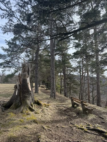 Felsenmeersteig (Traufgang)
