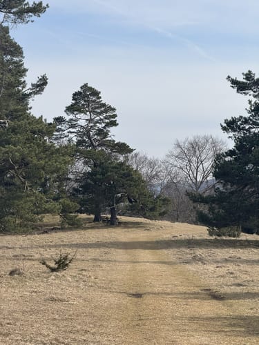 Felsenmeersteig (Traufgang)