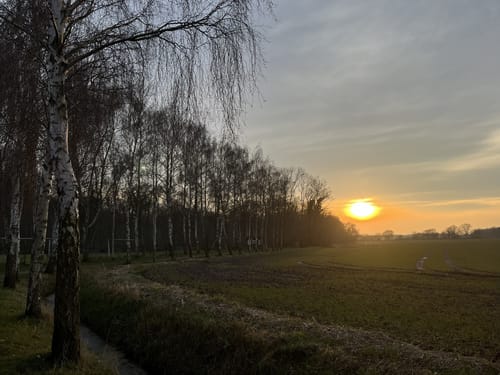 Rundtour Kellenhusen: Zum Leuchtturm Dahmeshöved und nach Dahme