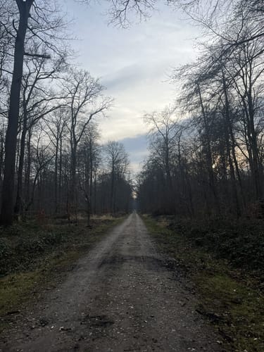 Rundtour Kellenhusen: Zum Leuchtturm Dahmeshöved und nach Dahme