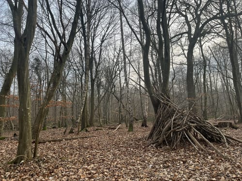 Rundtour Kellenhusen: Zum Leuchtturm Dahmeshöved und nach Dahme