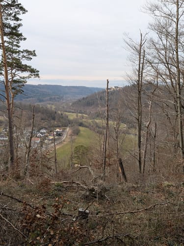 Durch das Neckartal zum Schloss Weitenburg