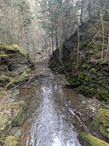 Durch das Neckartal zum Schloss Weitenburg