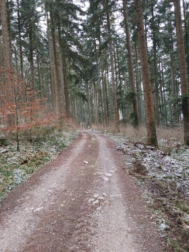 Zwischen Salzstetten, Tumlingen und Altheim