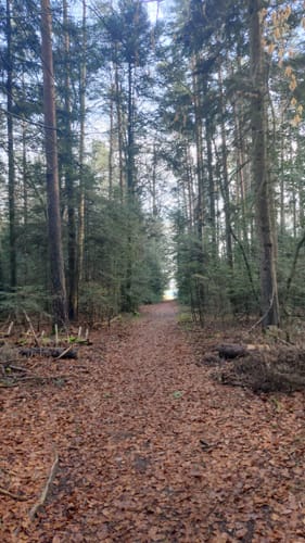 Kleine Runde Mahdsbrunnen