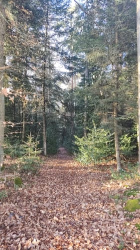Kleine Runde Mahdsbrunnen