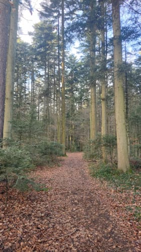 Kleine Runde Mahdsbrunnen