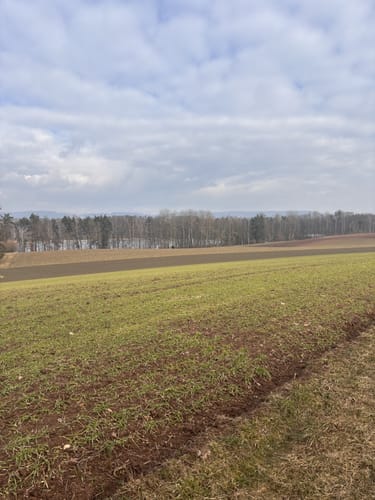 Speichersdorf Rundwanderweg Nr. 6 Gabellohe-Weg