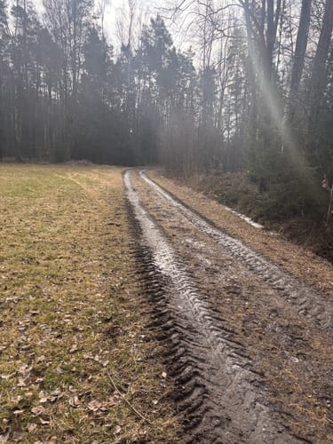 Speichersdorf Rundwanderweg Nr. 6 Gabellohe-Weg