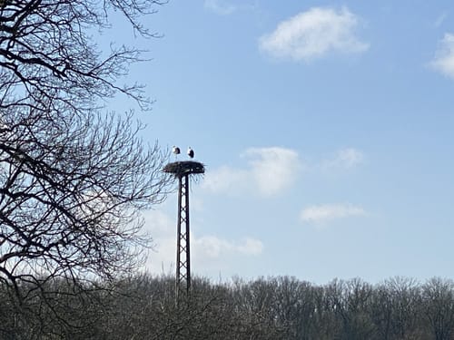 Lippenauenweg (L1) Lippstadt