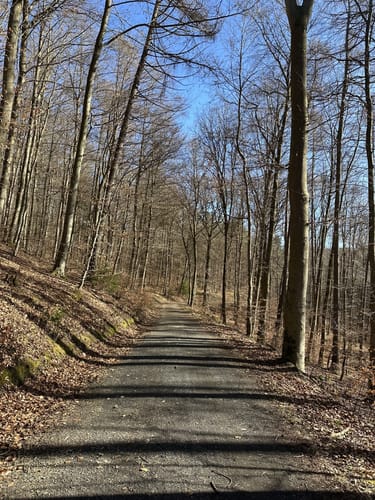 Hasenberg