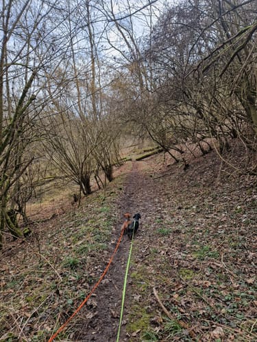 Lauffener Katzenbeißer Runde (RRW3)