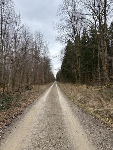 Zum Pöringer Waldspielplatz (Radtour 14)