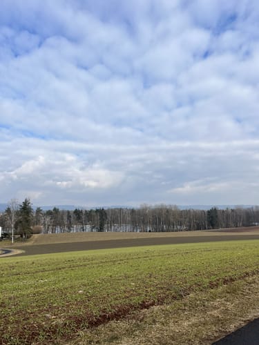 Speichersdorf Rundwanderweg Nr. 6 Gabellohe-Weg