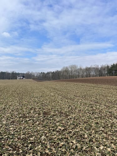 Speichersdorf Rundwanderweg Nr. 6 Gabellohe-Weg