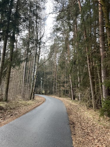 Speichersdorf Rundwanderweg Nr. 6 Gabellohe-Weg