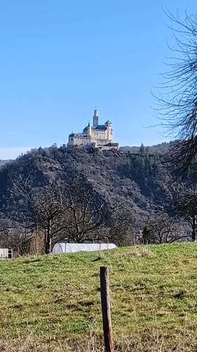 Rheingoldbogen (Traumpfad)
