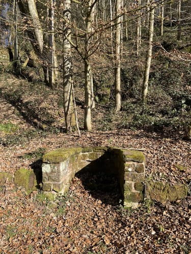 Rieslocher Klamm ab Thaleischweiler-Froschen