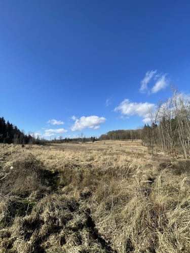 Schloss Rauischholzhausen und Senberg Rundweg