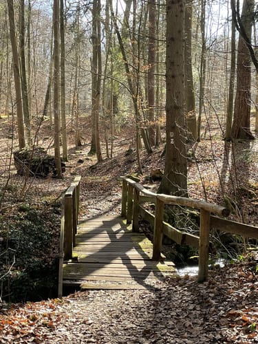 Schloss Rauischholzhausen und Senberg Rundweg