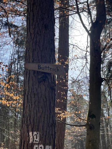 Schloss Rauischholzhausen und Senberg Rundweg