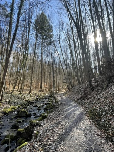 Schloss Rauischholzhausen und Senberg Rundweg