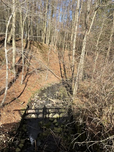 Schloss Rauischholzhausen und Senberg Rundweg