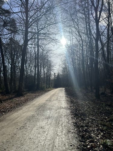 Königsforst Rundweg