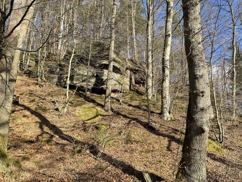 Rieslocher Klamm ab Thaleischweiler-Froschen