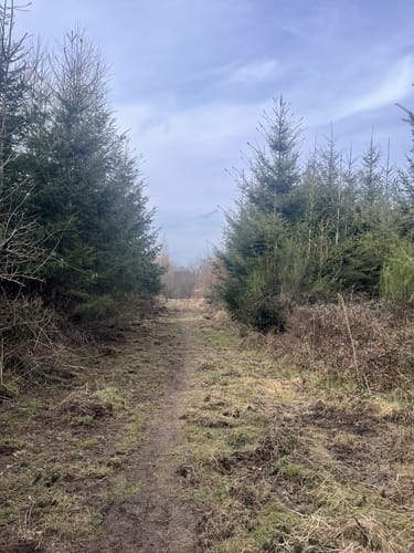 Hammerstein Rundweg He2