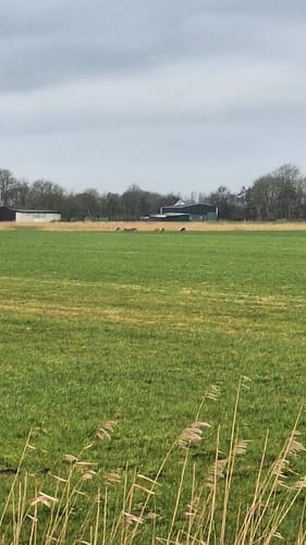 Jadebusen-Route: Dangast bis Wilhelmshaven