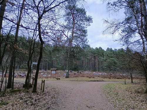 Amelinghausen: Königinnen-Weg