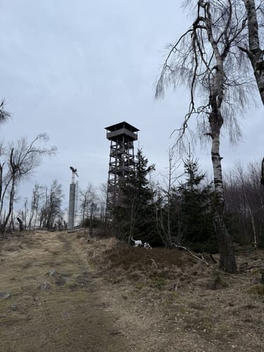 Jesberg - Wüstegarten