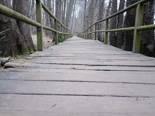 Amelinghausen: Königinnen-Weg