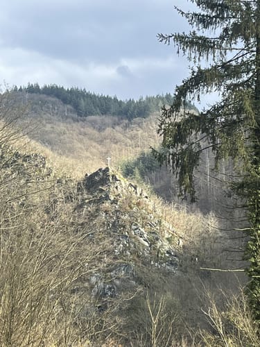 Waldbreitbacher Wiedtraum