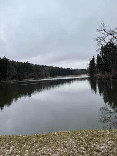 Mammutmarsch München 2022 - 55km