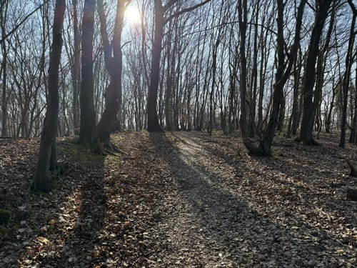 Rheinsteig Etappe 3: Bad Honnef - Linz