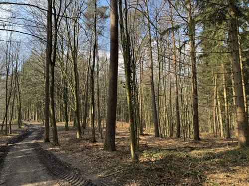 Rund um das Aachener Köpfchen