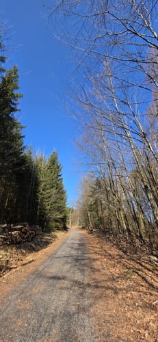 Rundwanderweg R4 (Langenhahn)