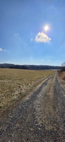 Rundwanderweg R4 (Langenhahn)