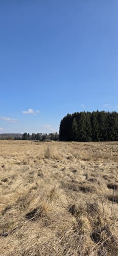 Rundwanderweg R4 (Langenhahn)