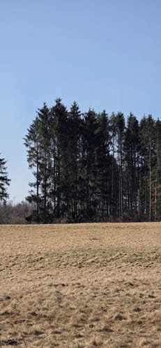 Rundwanderweg R4 (Langenhahn)