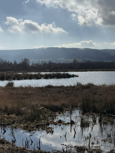 Großes Torfmoor