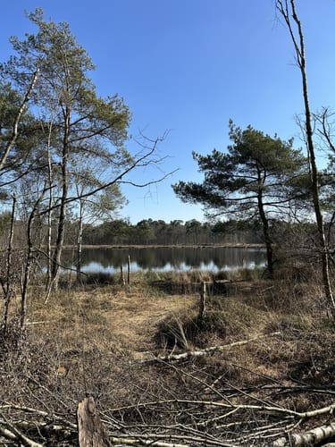 Durchs Venner Moor