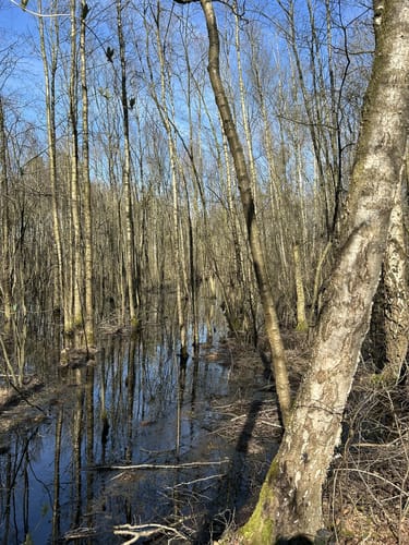Durchs Venner Moor
