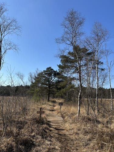 Durchs Venner Moor